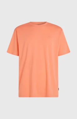 HommesT-shirt O'Neill Small Logo| Orange