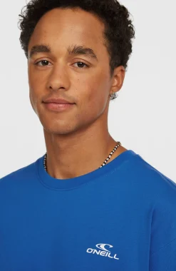 HommesT-shirt O'Neill Small Logo| Bleu