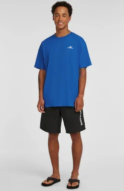 HommesT-shirt O'Neill Small Logo| Bleu