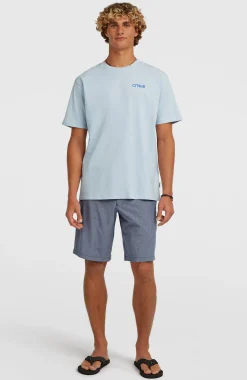 HommesT-shirt Polygiene Cotton Graphic| Bleu