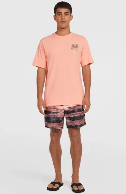 HommesT-shirt Retro Graphic| Rose
