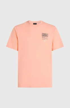 HommesT-shirt Retro Graphic| Rose