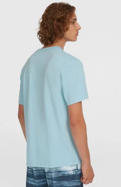 HommesT-shirt Stripe| Bleu