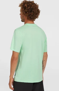 HommesT-shirt Stripe| Vert