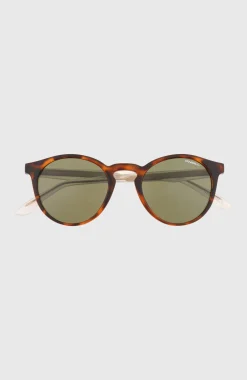 lunettes de soleil O'Neill ShoreBreak| Brun